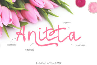 Anitta Script: A Strategic Tool for Elevating Visual Communication