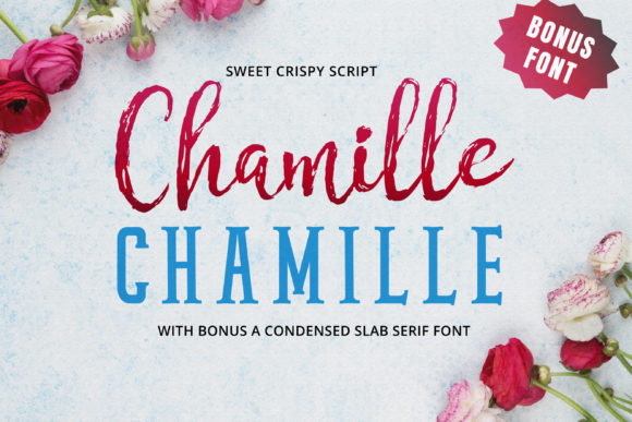 Discover the Beauty of Chamille Script: A Font That Elevates Design