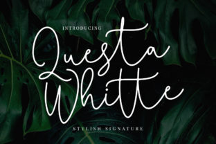 Questa Whitte Script: A Handwritten Font for Modern Branding and Design